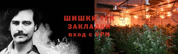 индика Нея