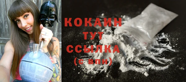 индика Нея