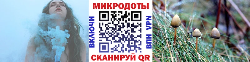 где найти   Усть-Катав  Псилоцибиновые грибы GOLDEN TEACHER 